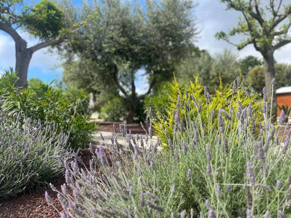 شقة Maison Dei Trulli لوكوروتوندو المظهر الخارجي الصورة